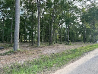24980 Blackburn Dr, Splendora, TX 77372