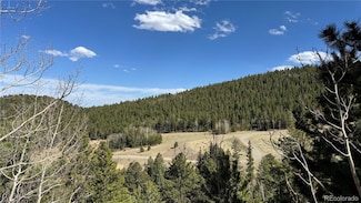 005 Pewabic Mine Rd Unit N002752, Central City, CO 80452