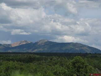 0 Vista de Oro Unit 733000, Hesperus, CO 81326