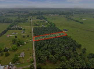 Tract 5 County Road 4810, Mount Pleasant, TX 75455