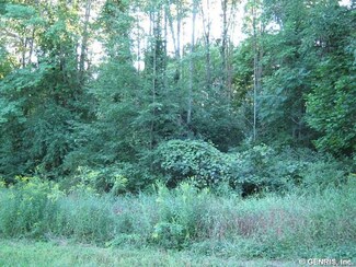2250 Gannett Rd, Lyons, NY 14489