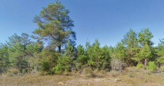 0 Dumajack Rd Unit MFRO6325912, Chipley, FL 32428