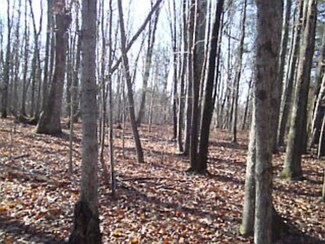 756 Cedar Point Rd, Rice, VA 23966