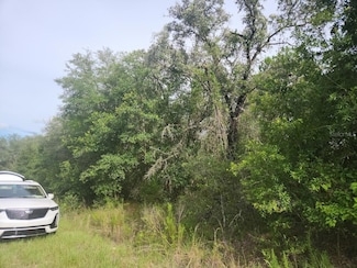 Lot 3 Nectarine Hill Ln, Rainbow Lakes Estates, FL 34431