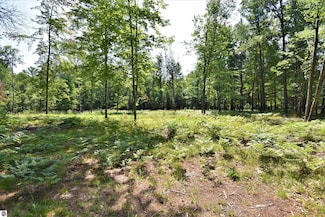 0 N Forest Lake Dr Unit 1923977, Alger, MI 48610