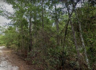 LOT 98 Arden St, Georgetown, FL 32139