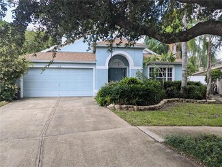 3214 Wheeling Ct, Land O Lakes, FL 34638