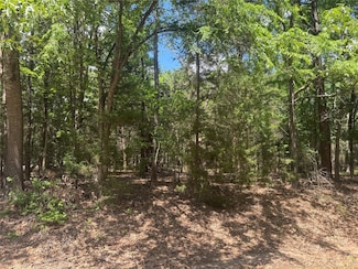 Lot 73 Cypress Creek Dr, Mount Vernon, TX 75457