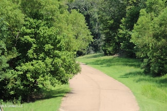 91 Moonlight Hollow, Flora, MS 39071