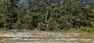 106 Chipo St, Interlachen, FL 32148