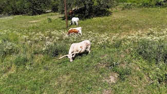 156 Private Road 3626, Springtown, TX 76082