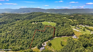 0 Dan Bean, Speedwell, TN 37870