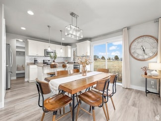 1463 S Lake View Terrace Rd, Saratoga Springs, UT 84045