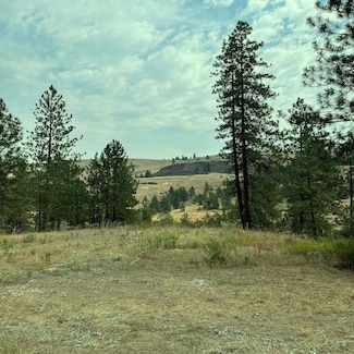 Lot 2 Scotch Bloom S P Ln, Davenport, WA 99122