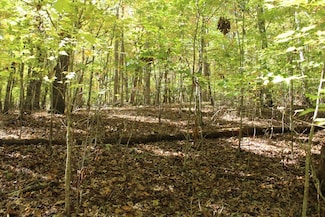 Lot 14 Ed Moore the Vinings, Hayesville, NC 28904