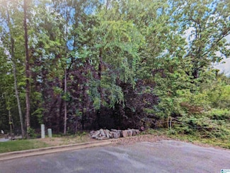 173 Jonagold Rd Unit 30, Helena, AL 35080