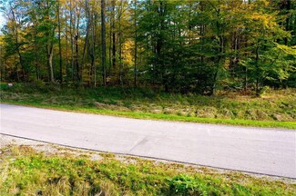 SL22 Tulip Ln, Chagrin Falls, OH 44023
