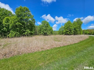 Lot 41 Deer Park Dr, Dix, IL 62830
