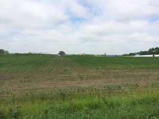 Lot 5 N Mayne, Roanoke, IN 46783
