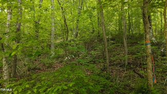 0 Avondale Hollow Rd, Rutledge, TN 37861