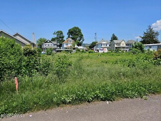 LOT 87 Spring Garden Ave, Berwick, PA 18603