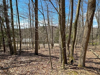 1232 Bell Hill Rd, Painted Post, NY 14870