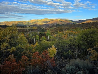 50560 Smith Creek Park Rd, Steamboat Springs, CO 80487