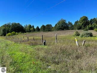 0 E Lincoln Rd Unit 1926493, Cedar, MI 49621