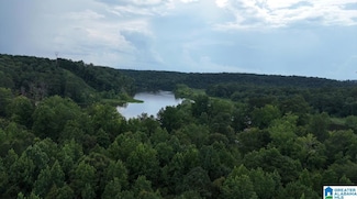 250 Buddy Vines Camp Rd Unit 1, Bessemer, AL 35023