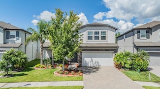 19445 Redwood Point Dr, Tampa, FL 33647