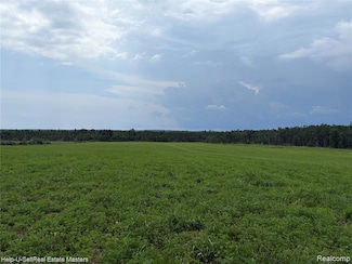 300 E Hubert Rd, Spruce, MI 48762