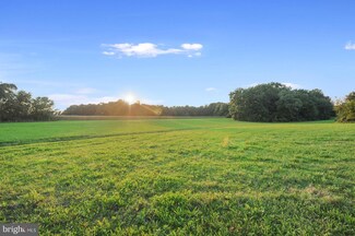 00 Robbins Rd, Frederica, DE 19946