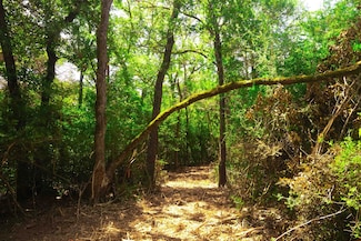 Tbd Unit 2 Red Hill Road, Calvert, TX 77837