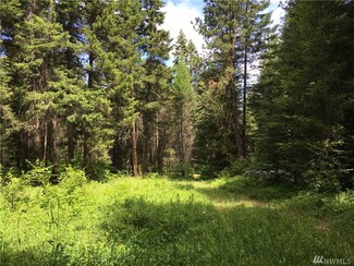 0 S Cle Elum Ridge Rd Unit 960249, Cle Elum, WA 98943
