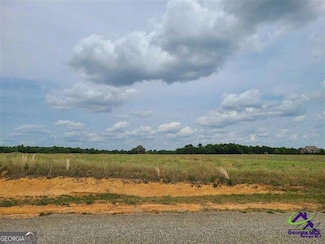 Tract 13C Williams Cir, Elko, GA 31025
