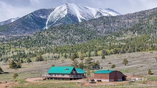1900 County Road 172, Westcliffe, CO 81252