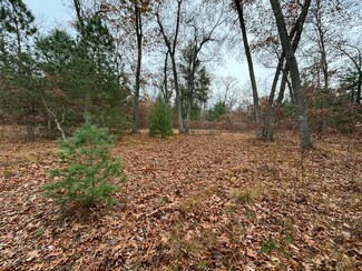 VL Ruprecht Rd, Cedar Creek Township, MI 49457