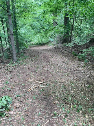 0 St Paul Rd Unit 10173806, Unincorporated, TN 38053