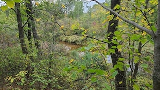 40 Acres Copper Mine Rd, Wascott, WI 54838