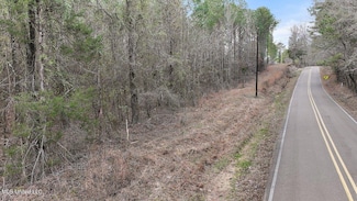 0 Stump Bridge Rd, Camden, MS 39045