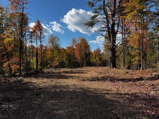 P/O M2 L7 Thompson Rd, Harmony, ME 04942