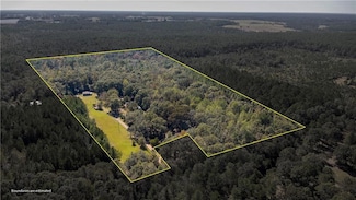 2871 Whitetail Ln, Wilmer, AL 36587