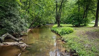 LT 1 Newberry Dr, Mineral Bluff, GA 30559