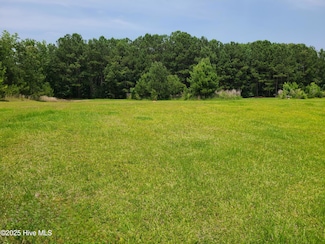 0 Overland Rd, Clinton, NC 28328