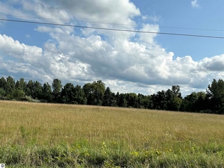 TBD S Shepherd Rd, Mount Pleasant, MI 48858