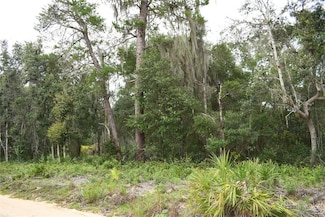 TBD NE 213th Ln, Fort Mc Coy, FL 32134
