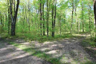 2620 Jordan Hills Dr, Echo Township, MI 49727