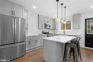 231 S Bouldin St, Baltimore, MD 21224