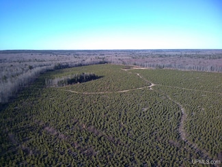 TBD Parcel 1 16 Mile Lake Rd, Au Train Township, MI 49862