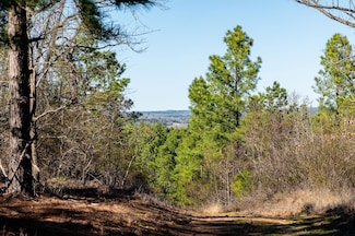 0 State Highway 64, Ben Wheeler, TX 75754